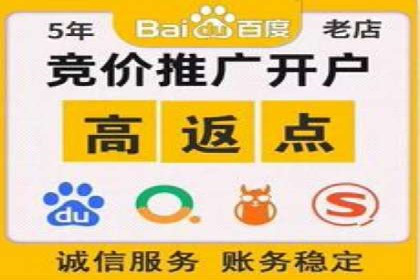 行业领先企业如何通过网络推广实现竞价增长